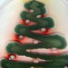 Crean arte navideño con hongos en placas de Petri  